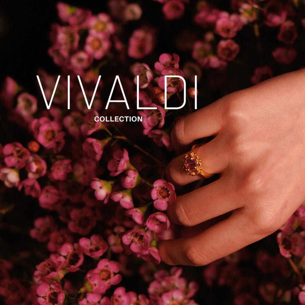 Vivaldi Four Seasons
